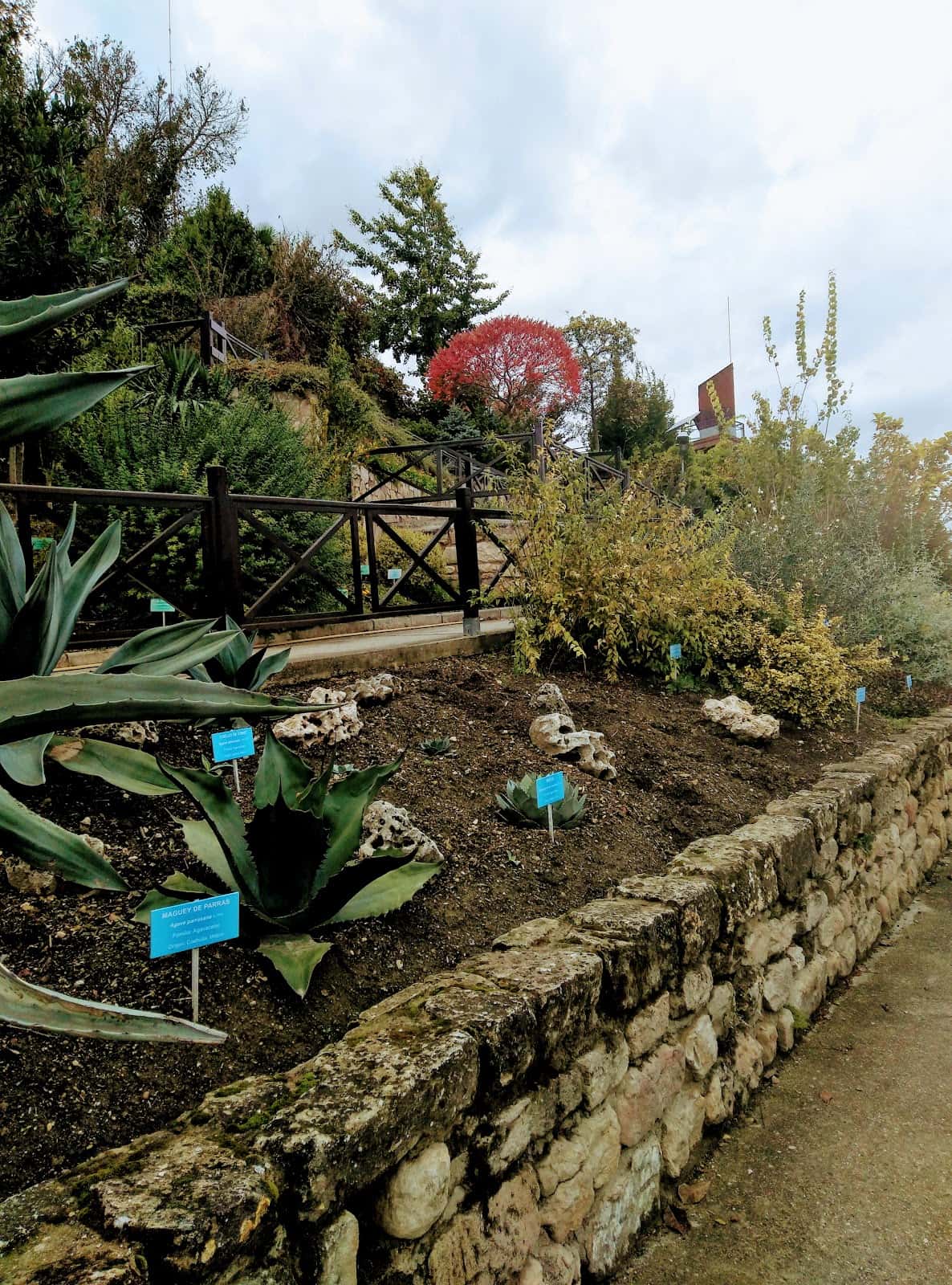 Jardín Botánico de Miranda: terrazas, horarios y visita