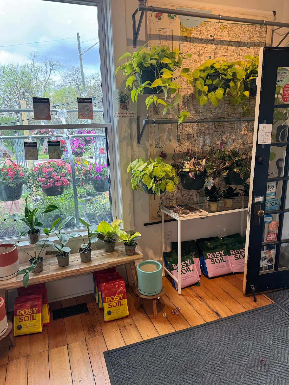 Stomping Ground: Plants, Gifts and Florals on Nowland Ave