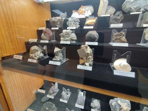 Museu Valentí Masachs: geología en Manresa