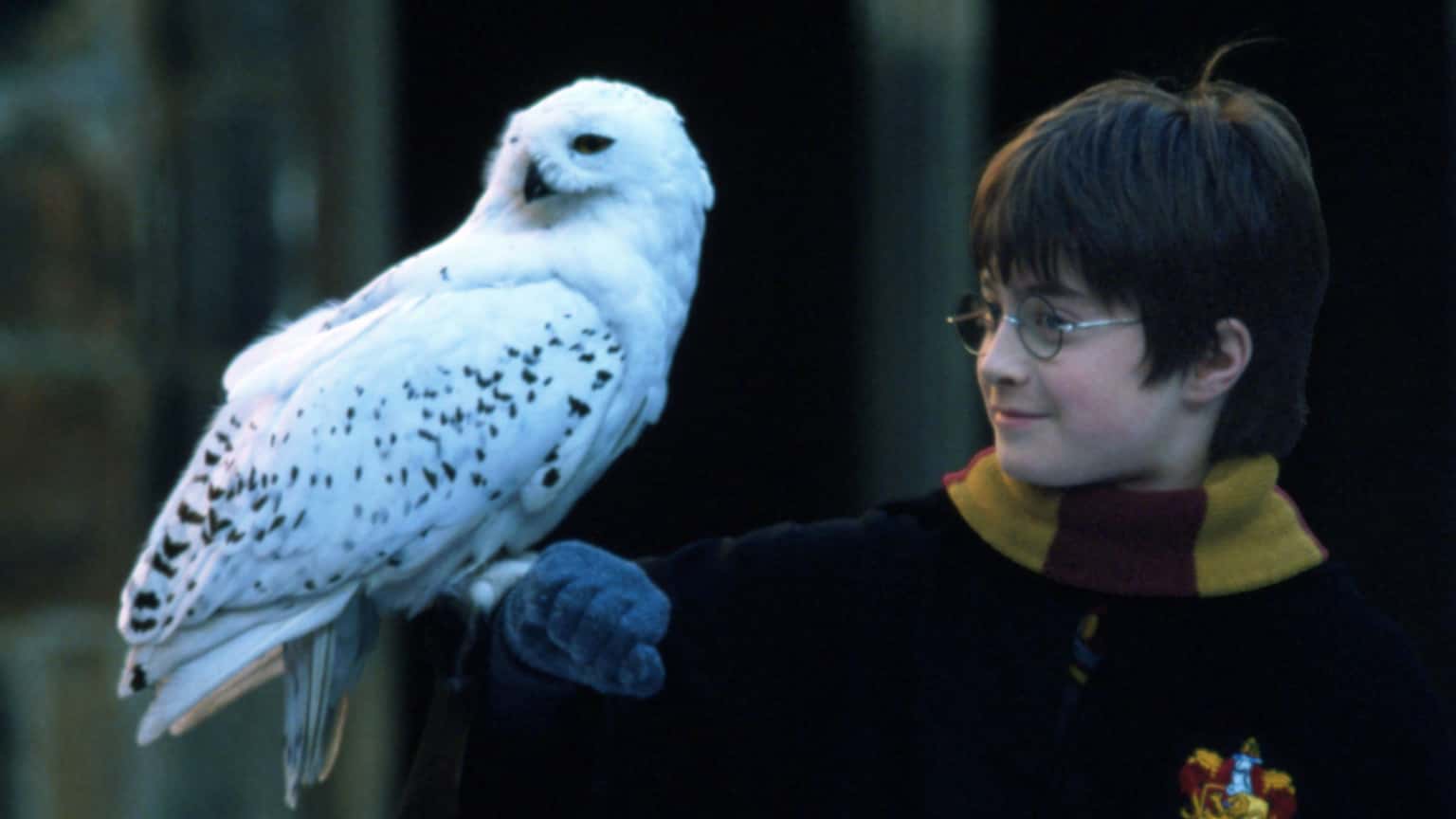 Harry Potter and the Sorcerer's Stone in Concert