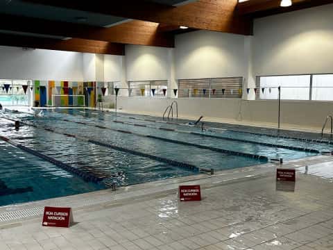 Cursos de natación segundo trimestre 2026