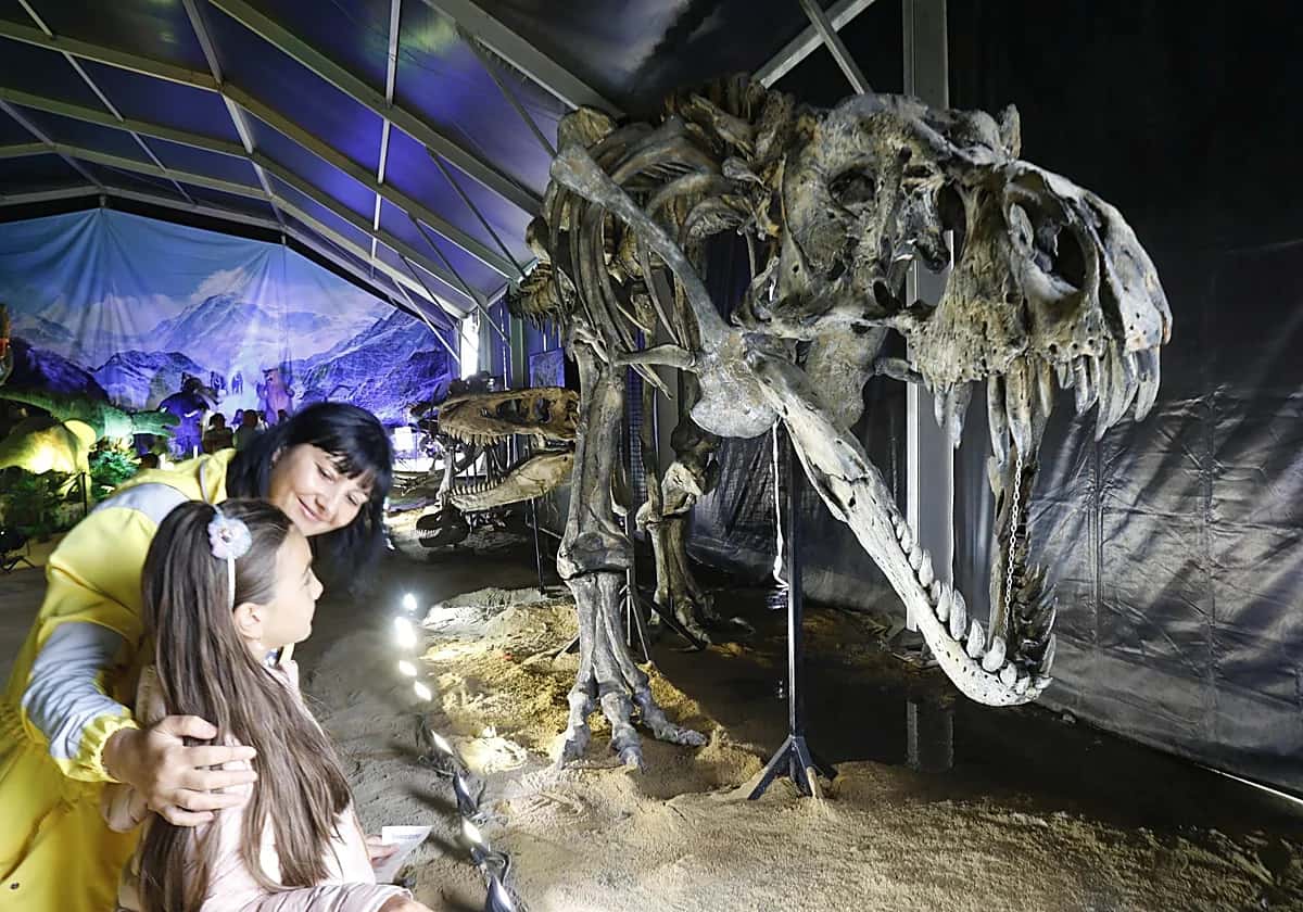 Jurassic Experience