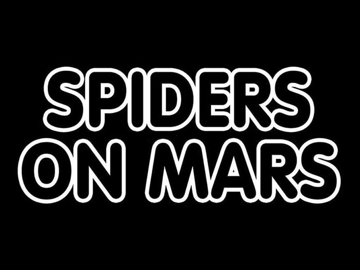 Spiders On Mars - Tribute To David Bowie