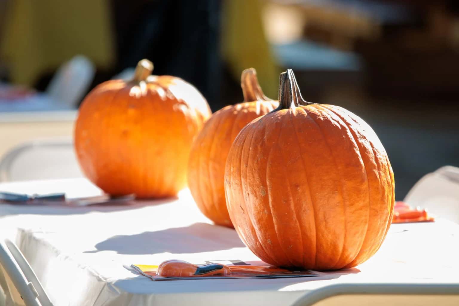 Halloween Crafts