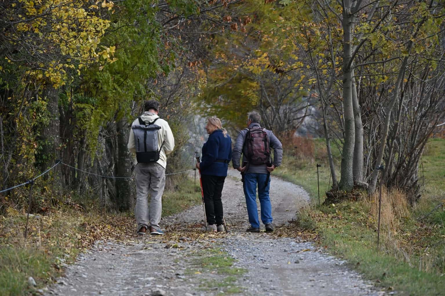 Yorkshire Social Walk