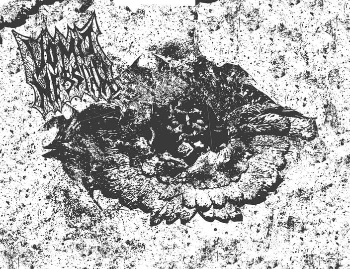 Concierto de Vomit Messiah, Repugnator y Nertaken