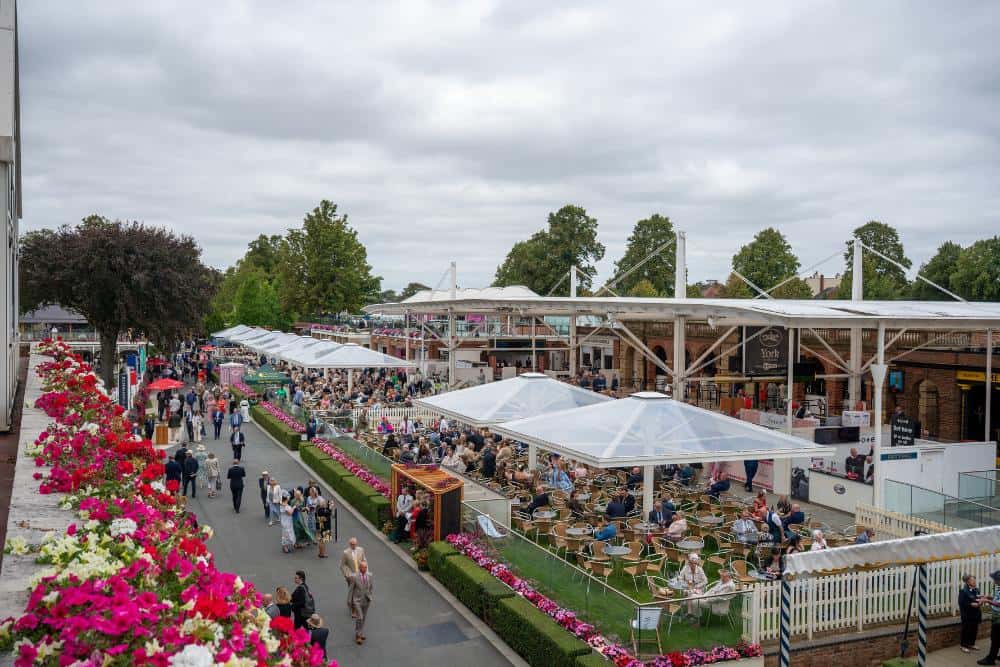 Madness at York Racecourse: tickets on sale tomorrow