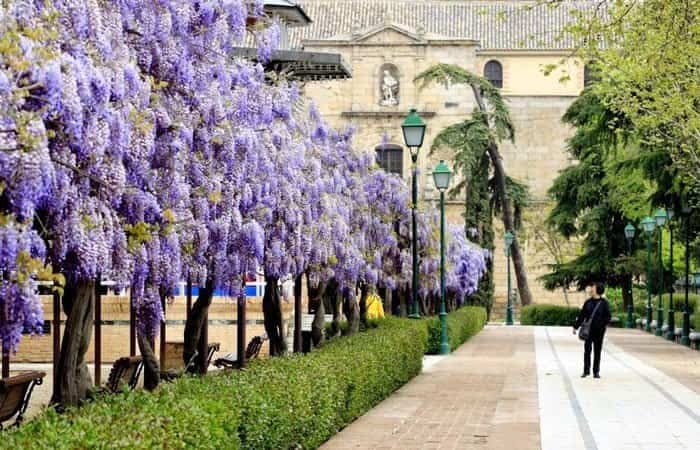 Ópera gratis al aire libre en el Paseo Merchán