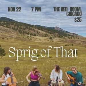 Krissy Bergmark - Sprig of That