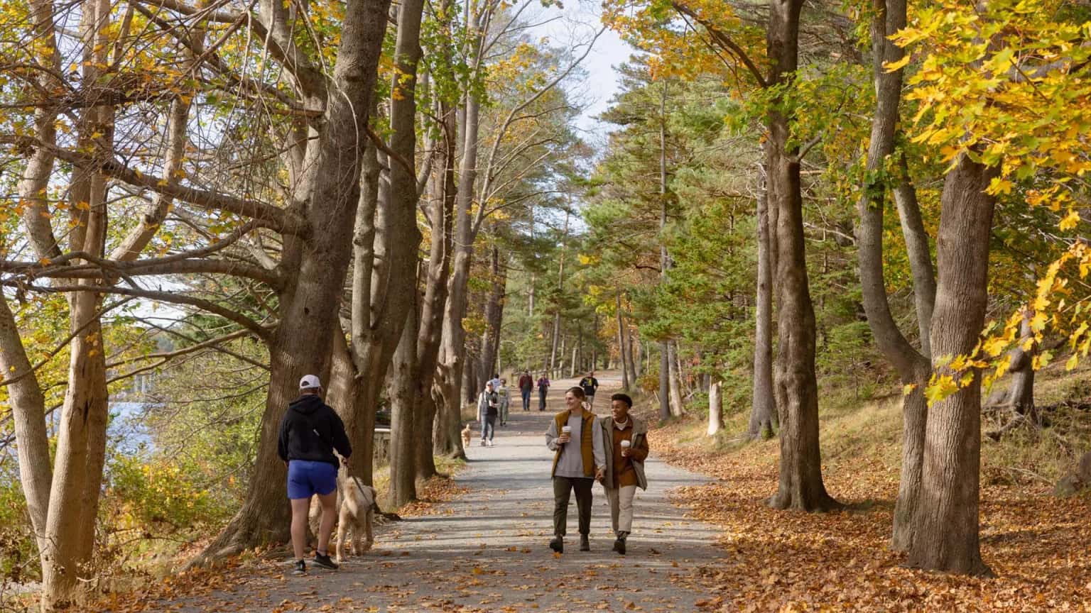 Autumn at Point Pleasant Park: trails, forts and history