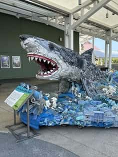 Washed Ashore: Art to Save the Sea