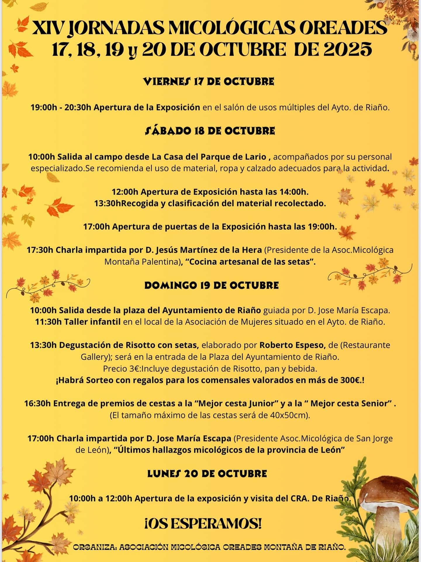 Setas y cocina de temporada desde León