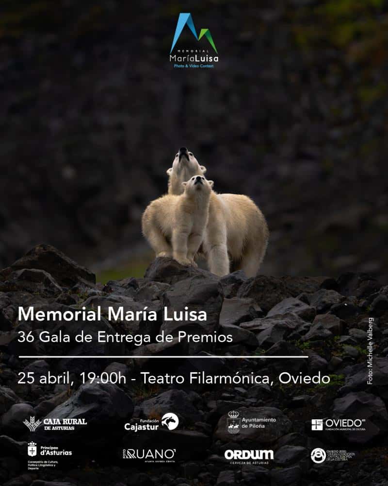 La Noche Blanca: Cine al aire libre 'Memorial María Luisa'