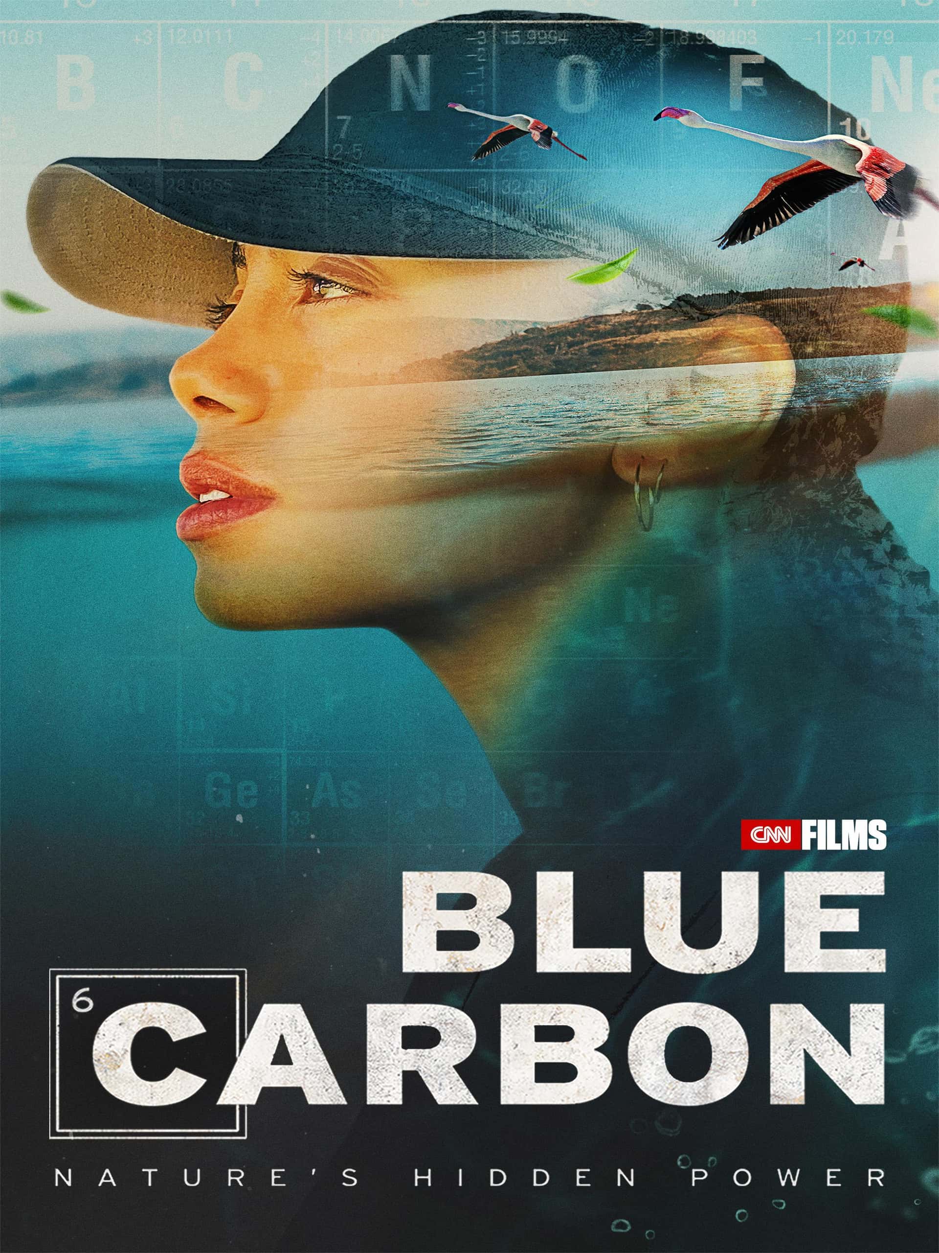 Proyección del documental 'Blue Carbon'