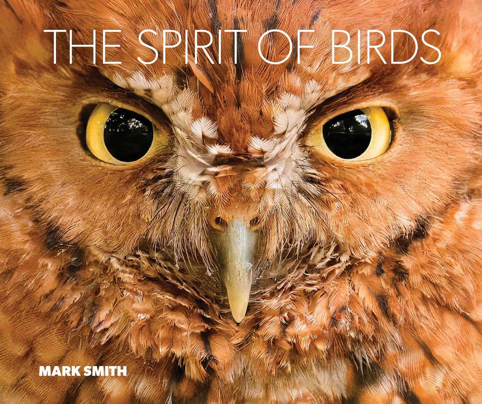 Mark Smith, The Spirit of Birds
