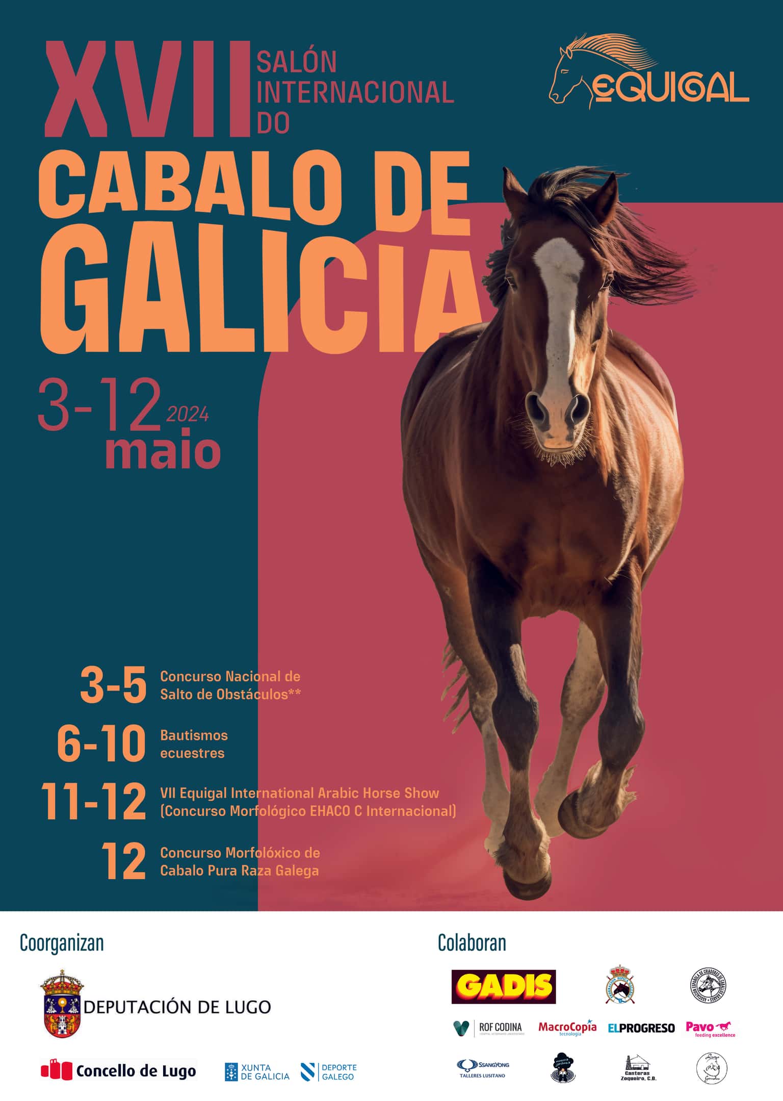 Guía para disfrutar de Equigal 2026 en Lugo