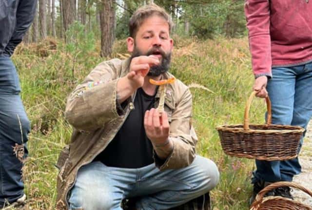 Secret Fungi Festival returns to Careys Secret Garden
