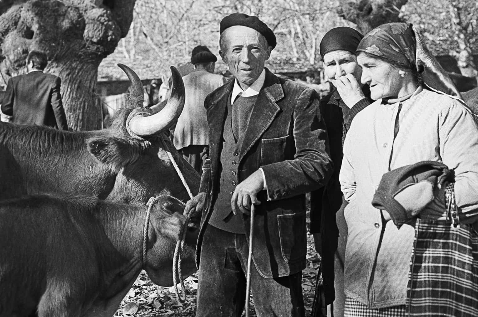 Feira de Santos de Monterroso: la feria más grande de Galicia