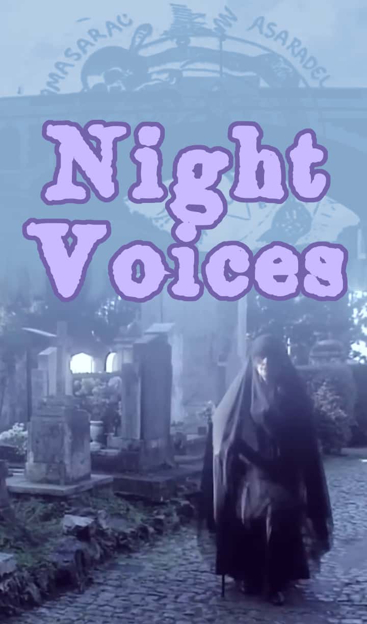 Night Voices (1995) Episode 5