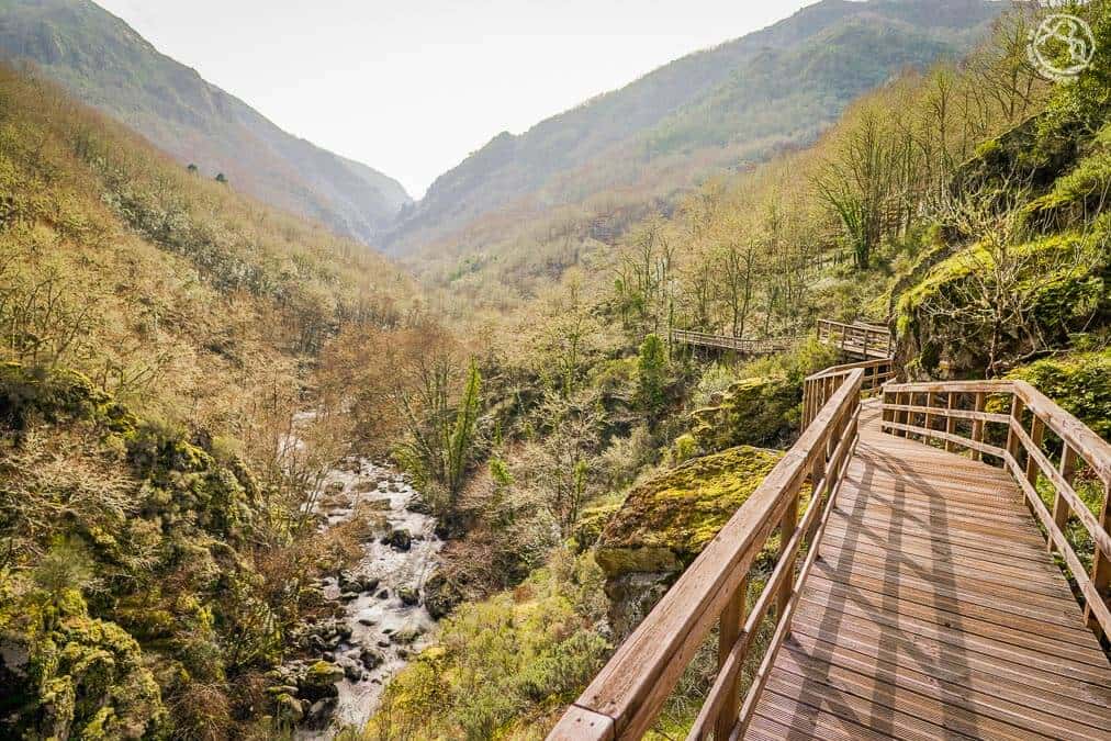 Ocho rutas por los bosques de Ourense este otoño