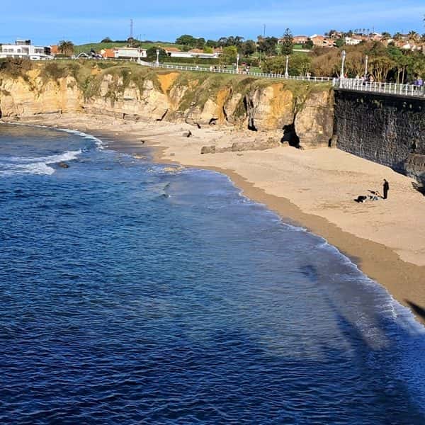 Gijón Respira 2026: 1.200 inscritos el 4 de octubre