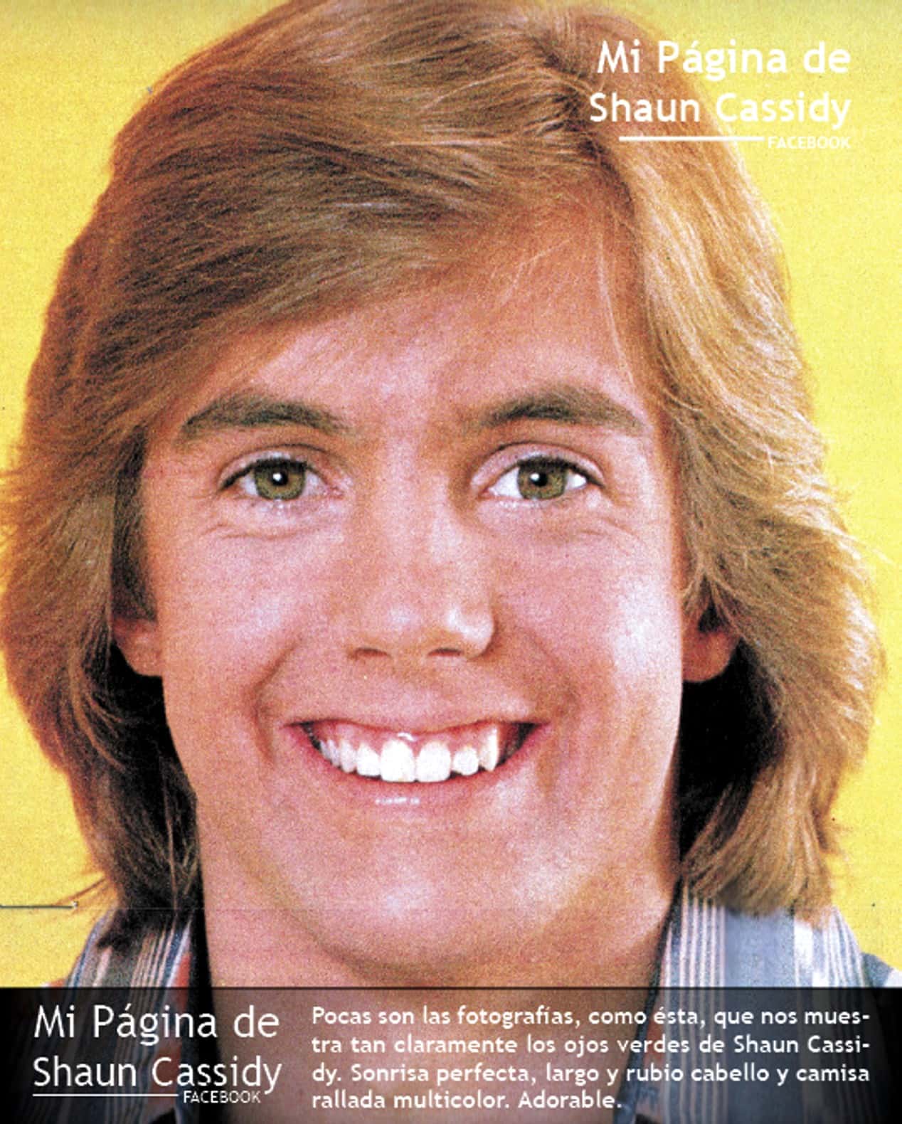 Shaun Cassidy - Unwrapped: Songs & Stories For The Holidays