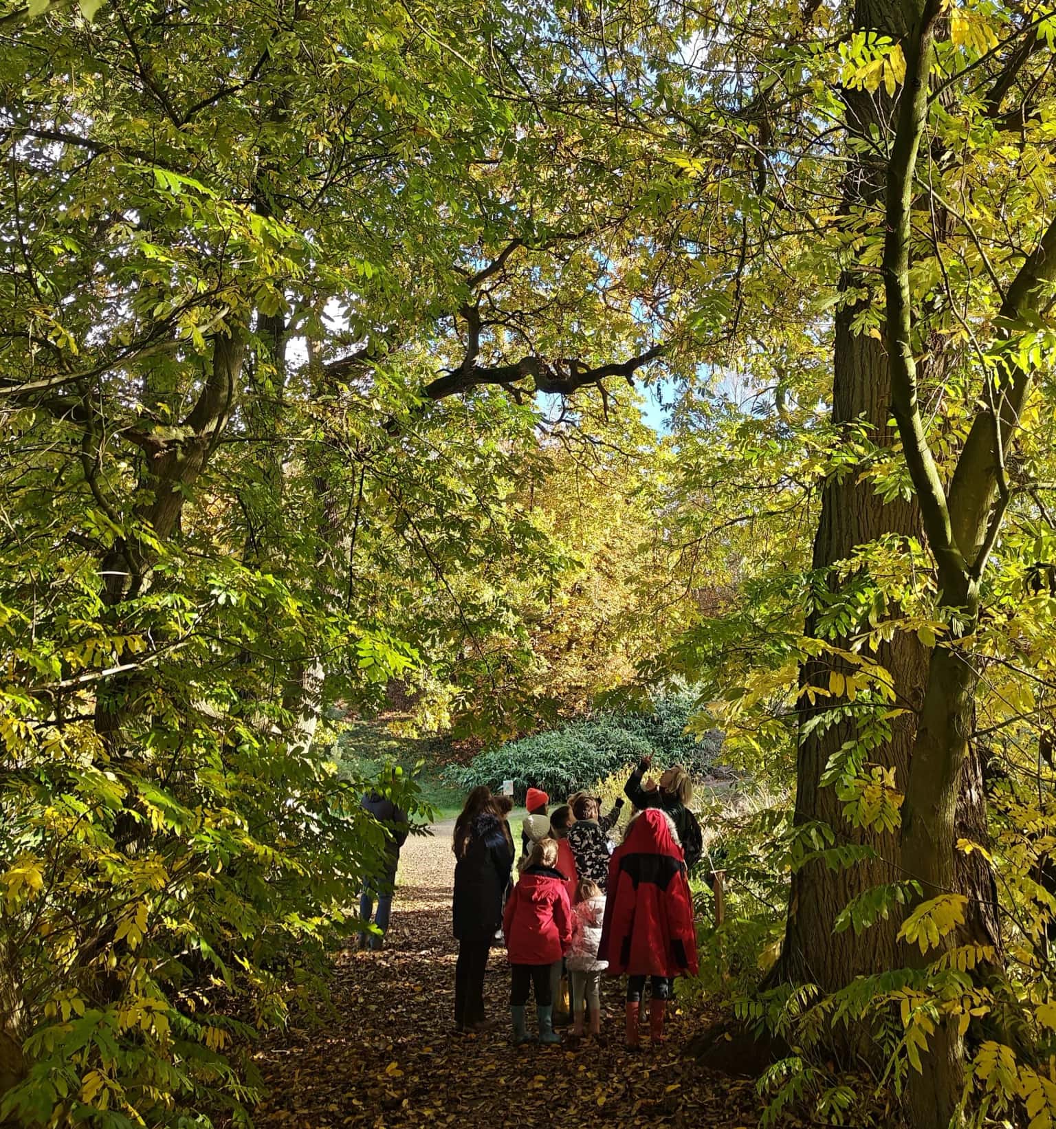 Castle Howard Arboretum: a top autumn garden visit
