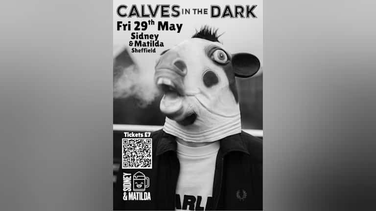 Django Jones & The Mystery Men, with Calves in the Dark supporting