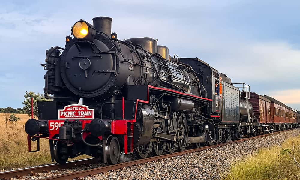 Newcastle Picnic Train