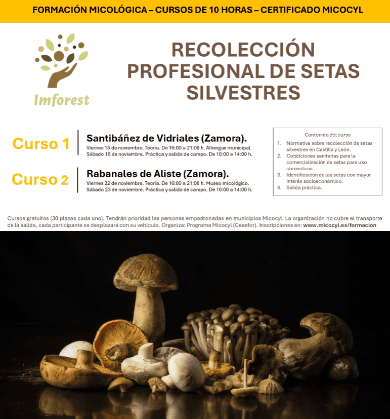El Bierzo prepara su primer parque micológico