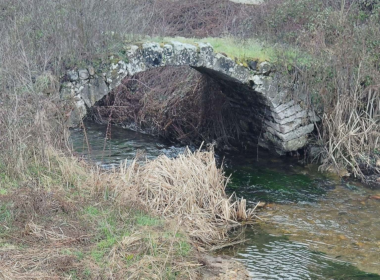 La Pontona, un puente medieval junto a León