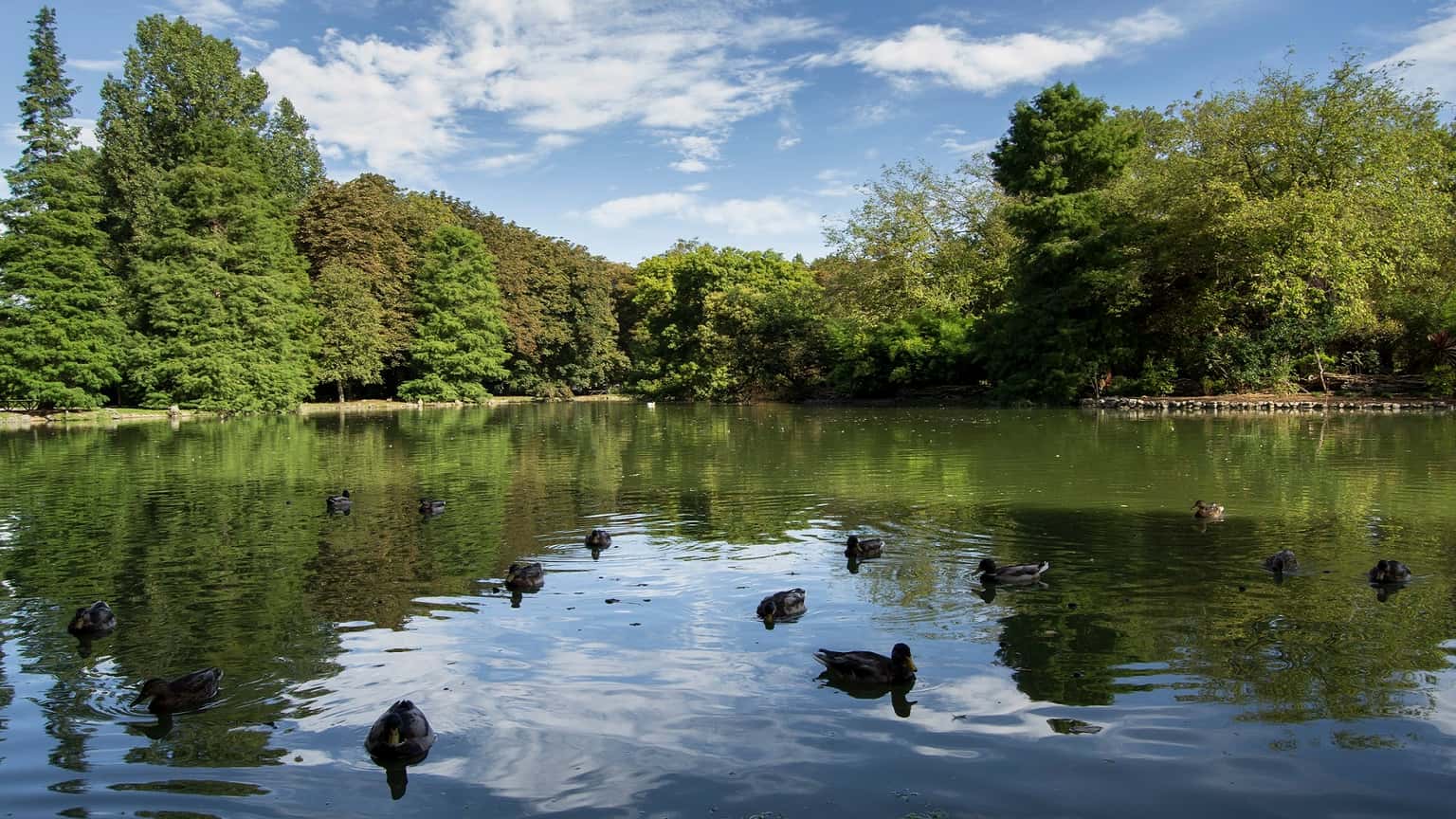 Nuevas terrazas en los parques de Gijón este verano