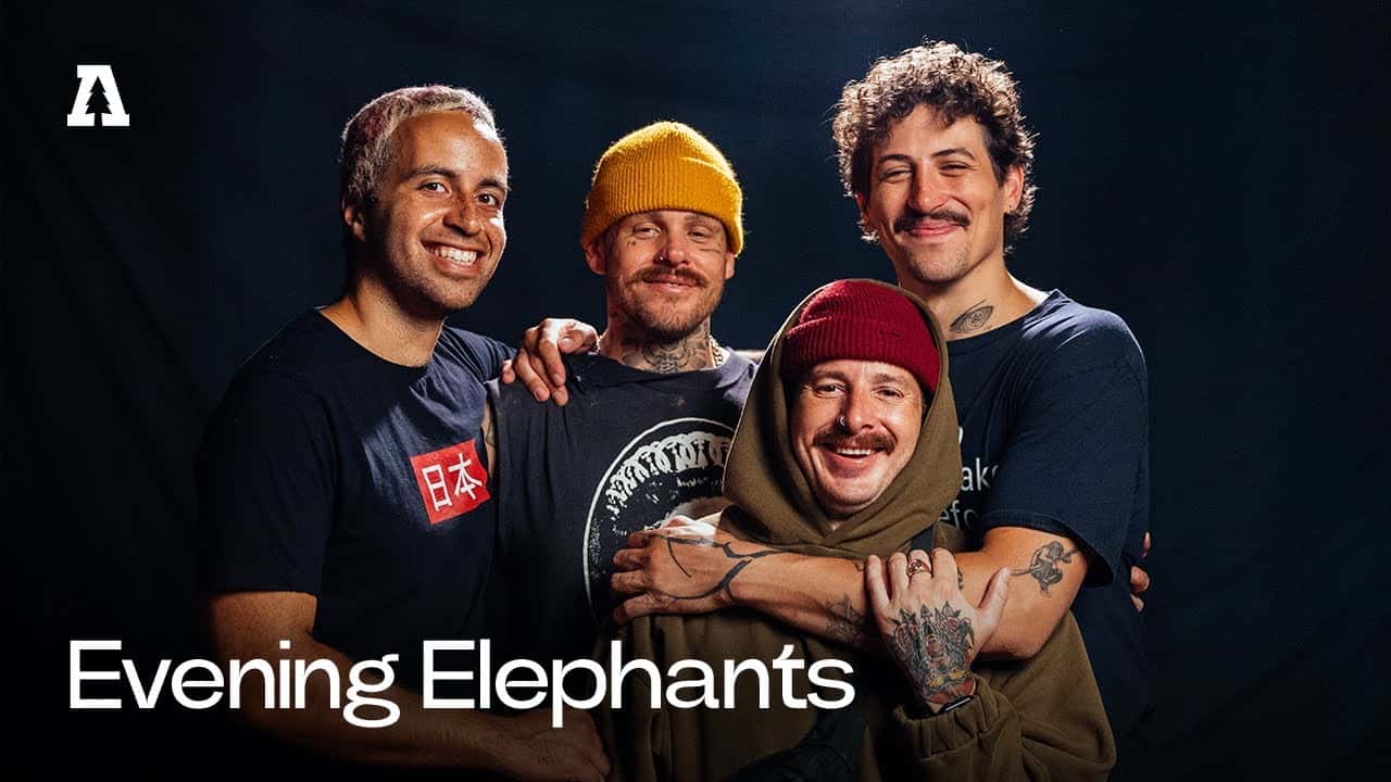 Evening Elephants