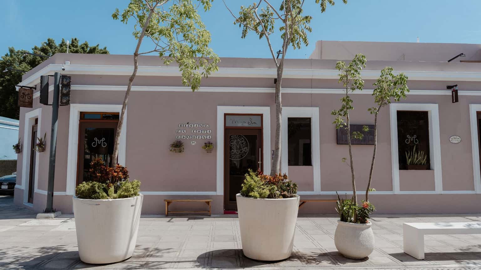 Micaela Mar & Leña: brasa y mariscos en el Centro