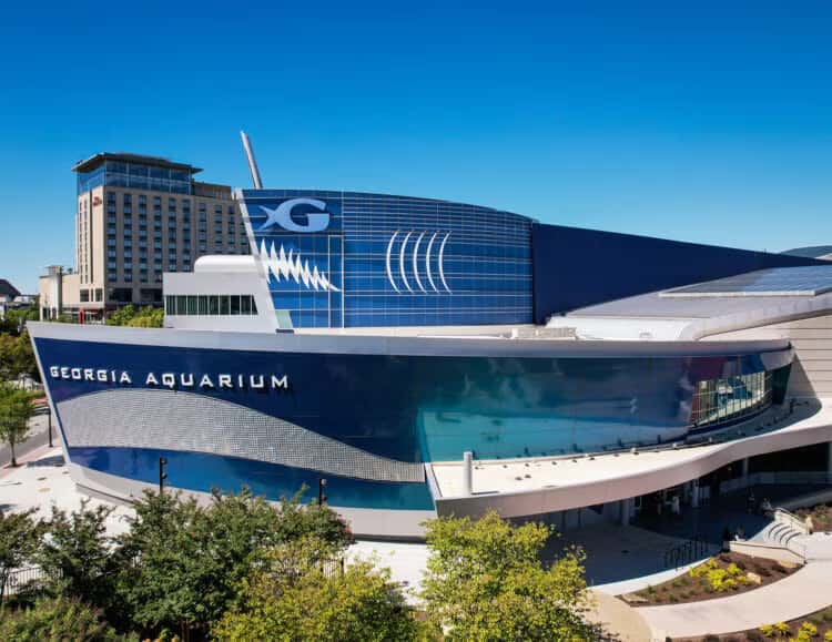 WinterTide turns the Georgia Aquarium into a wonderland