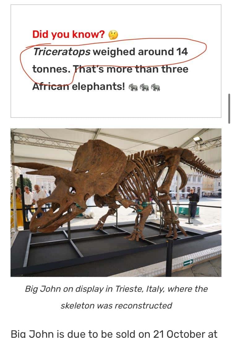 Big John the Triceratops