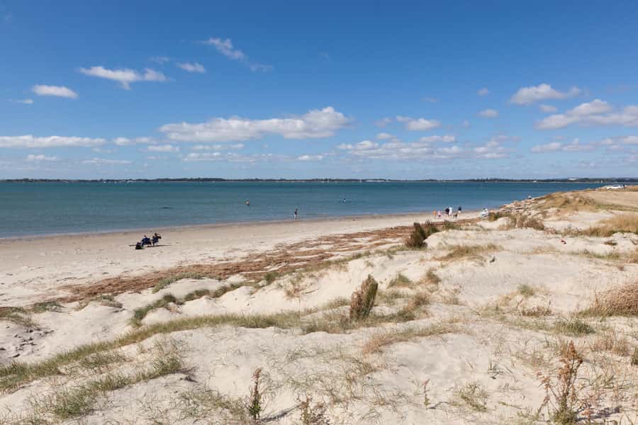 Thorney Island: an eight-mile coastal walk