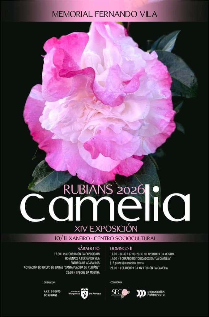 XIV Exposición da Camelia de Rubiáns