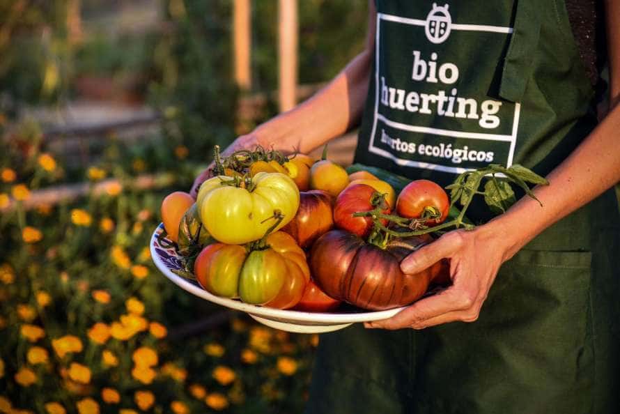 Taller para adultos: Agricultura regenerativa en huertos urbanos