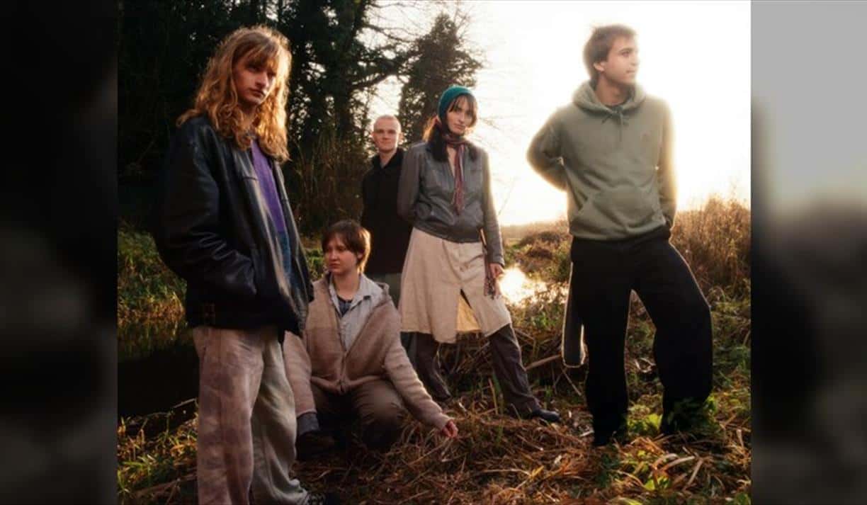 1000 Rabbits