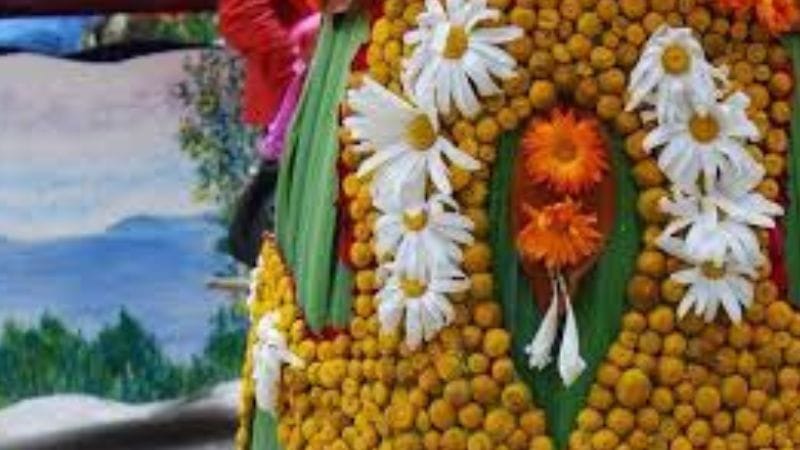 Festa dos Maios do Calvario 2026