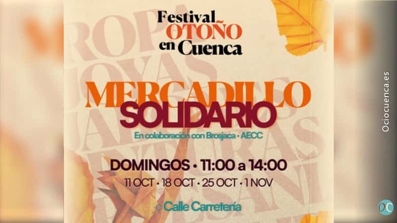 Mercadillo Solidario del Festival Otoño