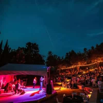 Pete Ayres Quartet: Jazz on the Lawn