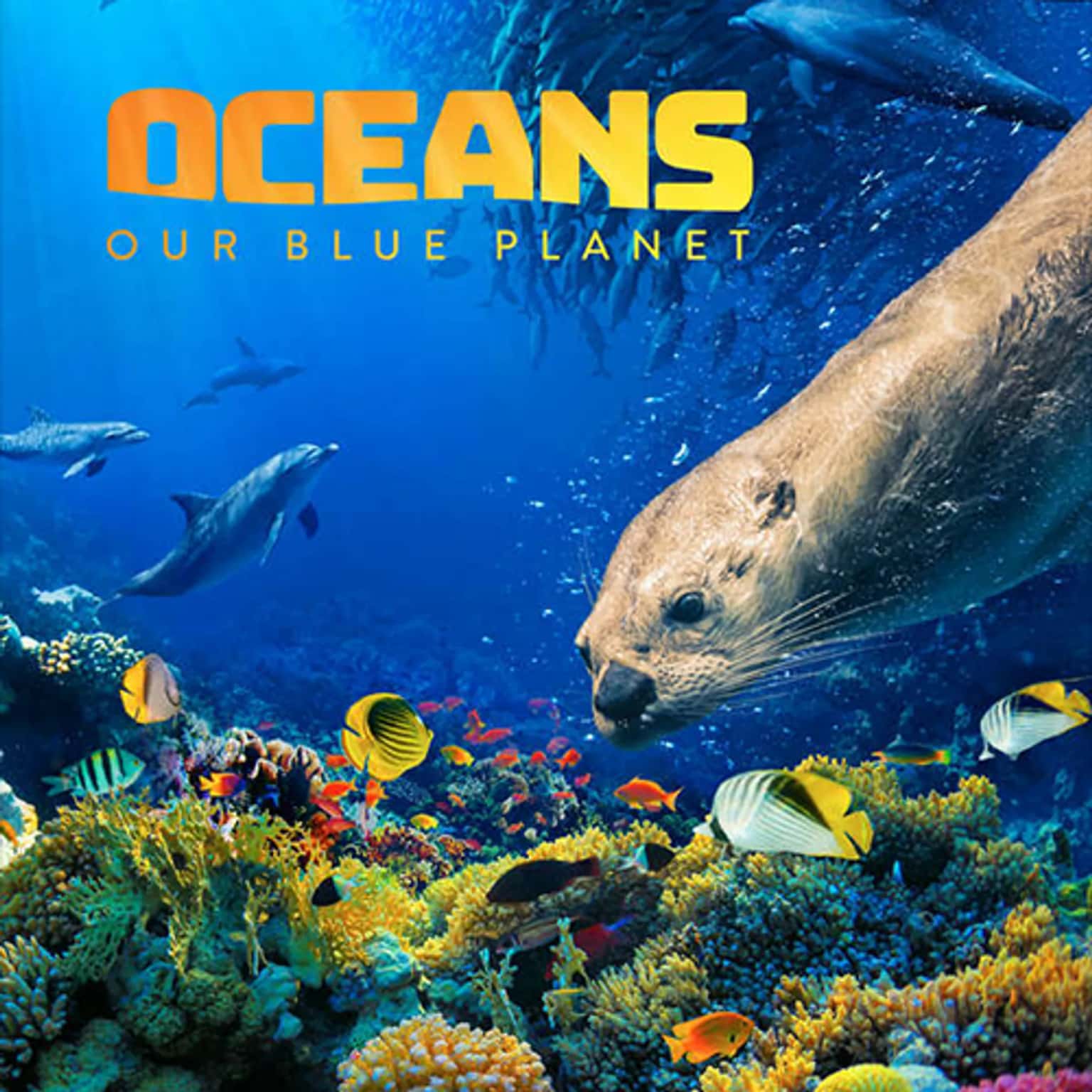 Oceans: Our Blue Planet