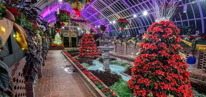 Phipps Holiday Magic