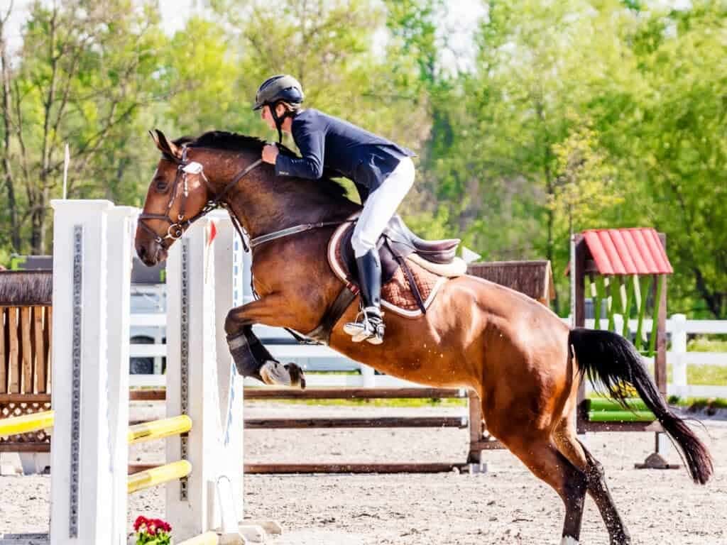 PCHA Horse Show - October