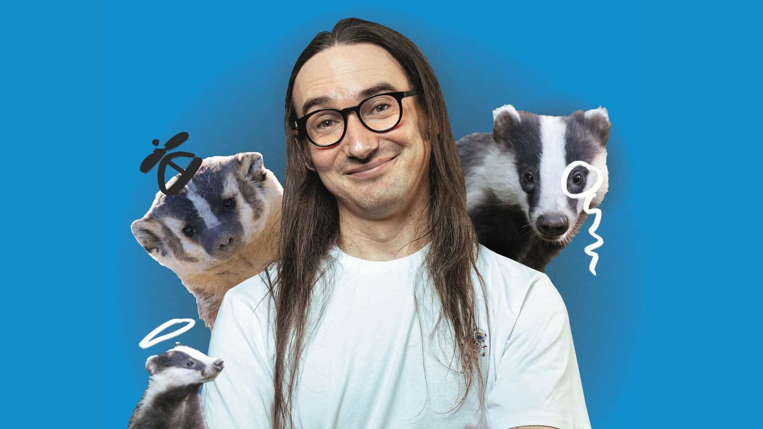 Matt Hobs: 200 Percent Badgers: Badgers vs Hedgehogs