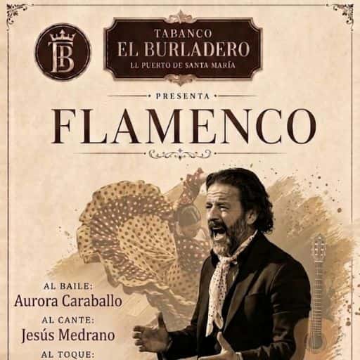 Especáculo Flamenco en Tabanco El Burladero