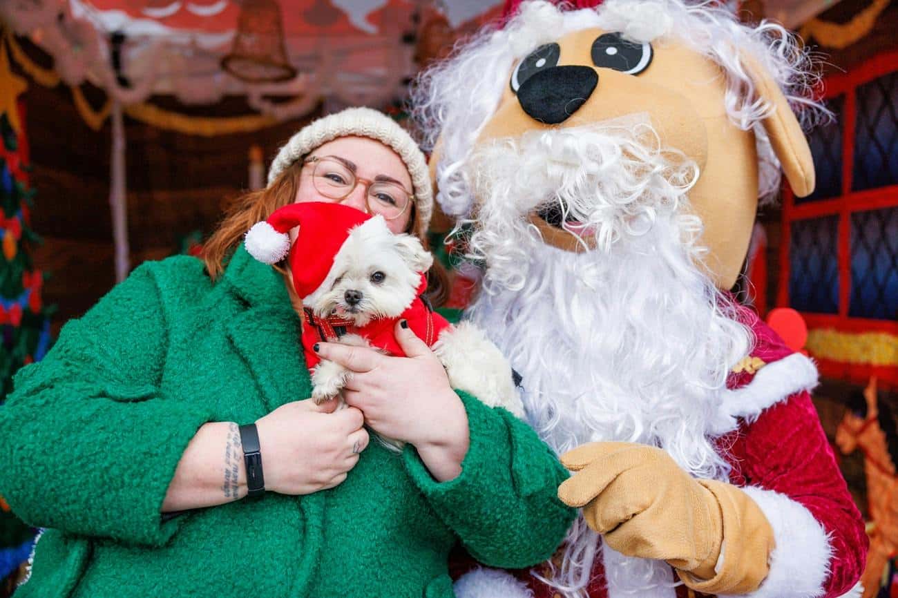 Santa's Grotto for Dogs
