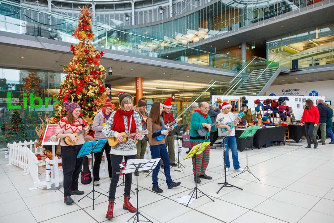 Musical Performances with Norfolk and Suffolk Music Hub